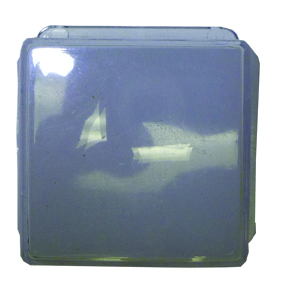 ASHB-201 - Button and Clear Cap, for Adam : 